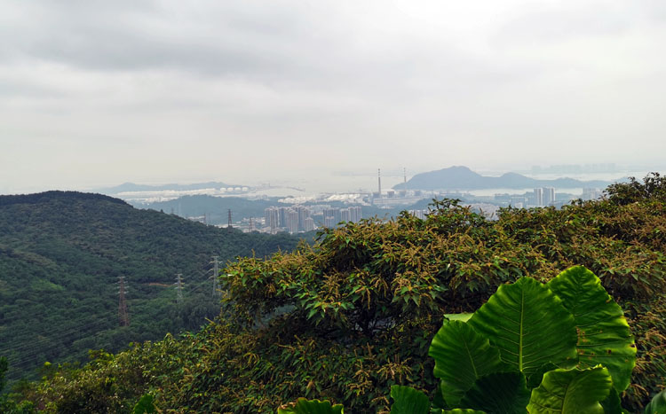 激揚青春、奮勇攀登登山活動